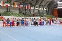 Thumbnail - General Photos - Artistic Gymnastics - 2019 - egWohnen Juniors Trophy 02034_16473.jpg