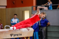 Thumbnail - Till Jabine - Gymnastique Artistique - 2019 - egWohnen Juniors Trophy - Participants - Germany 02034_17523.jpg