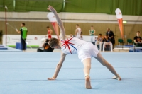 Thumbnail - Reuben Ward - Artistic Gymnastics - 2019 - egWohnen Juniors Trophy - Participants - Great Britain 02034_17569.jpg