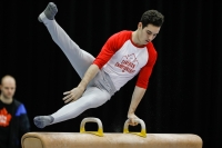 Thumbnail - Canada - Спортивная гимнастика - 2019 - Austrian Future Cup - Participants 02036_00003.jpg