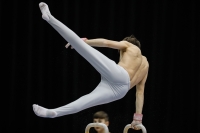 Thumbnail - Participants - Спортивная гимнастика - 2019 - Austrian Future Cup 02036_00011.jpg