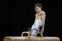 Thumbnail - Canada - Спортивная гимнастика - 2019 - Austrian Future Cup - Participants 02036_00012.jpg