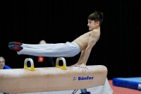 Thumbnail - Participants - Gymnastique Artistique - 2019 - Austrian Future Cup 02036_00091.jpg