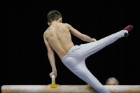 Thumbnail - Participants - Artistic Gymnastics - 2019 - Austrian Future Cup 02036_00099.jpg
