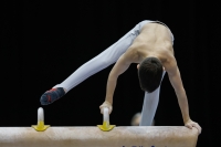 Thumbnail - Participants - Artistic Gymnastics - 2019 - Austrian Future Cup 02036_00104.jpg