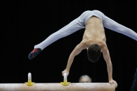 Thumbnail - Participants - Artistic Gymnastics - 2019 - Austrian Future Cup 02036_00105.jpg