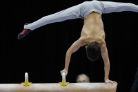 Thumbnail - Participants - Спортивная гимнастика - 2019 - Austrian Future Cup 02036_00110.jpg