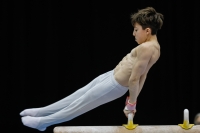 Thumbnail - Participants - Gymnastique Artistique - 2019 - Austrian Future Cup 02036_00111.jpg