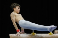 Thumbnail - Participants - Artistic Gymnastics - 2019 - Austrian Future Cup 02036_00112.jpg
