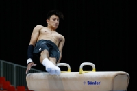 Thumbnail - Jose Caballero - Artistic Gymnastics - 2019 - Austrian Future Cup - Participants - Australia 02036_00395.jpg