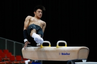 Thumbnail - Jose Caballero - Artistic Gymnastics - 2019 - Austrian Future Cup - Participants - Australia 02036_00399.jpg