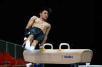 Thumbnail - Jose Caballero - Спортивная гимнастика - 2019 - Austrian Future Cup - Participants - Australia 02036_00402.jpg