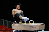 Thumbnail - Jose Caballero - Artistic Gymnastics - 2019 - Austrian Future Cup - Participants - Australia 02036_00403.jpg