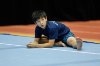 Thumbnail - Japan - Artistic Gymnastics - 2019 - Austrian Future Cup - Participants 02036_00419.jpg