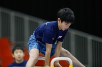 Thumbnail - Japan - Artistic Gymnastics - 2019 - Austrian Future Cup - Participants 02036_00532.jpg