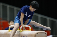 Thumbnail - Japan - Artistic Gymnastics - 2019 - Austrian Future Cup - Participants 02036_00533.jpg