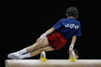 Thumbnail - Japan - Artistic Gymnastics - 2019 - Austrian Future Cup - Participants 02036_00751.jpg