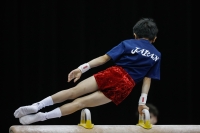 Thumbnail - Japan - Artistic Gymnastics - 2019 - Austrian Future Cup - Participants 02036_00752.jpg