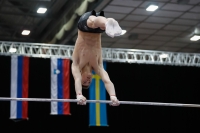 Thumbnail - Leeds - Luke Whitehouse - Gymnastique Artistique - 2019 - Austrian Future Cup - Participants - Great Britain 02036_00779.jpg