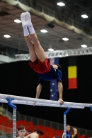 Thumbnail - Japan - Artistic Gymnastics - 2019 - Austrian Future Cup - Participants 02036_00811.jpg