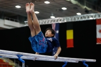 Thumbnail - Japan - Спортивная гимнастика - 2019 - Austrian Future Cup - Participants 02036_00823.jpg