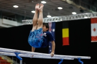 Thumbnail - Japan - Artistic Gymnastics - 2019 - Austrian Future Cup - Participants 02036_00825.jpg