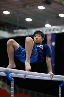 Thumbnail - Japan - Artistic Gymnastics - 2019 - Austrian Future Cup - Participants 02036_00827.jpg