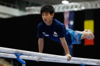 Thumbnail - Japan - Спортивная гимнастика - 2019 - Austrian Future Cup - Participants 02036_00829.jpg