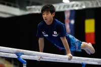 Thumbnail - Japan - Спортивная гимнастика - 2019 - Austrian Future Cup - Participants 02036_00830.jpg