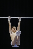 Thumbnail - Manchester - Joseph Feery - Ginnastica Artistica - 2019 - Austrian Future Cup - Participants - Great Britain 02036_00908.jpg