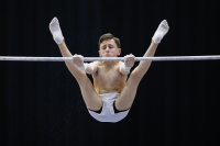 Thumbnail - Manchester - Joseph Feery - Спортивная гимнастика - 2019 - Austrian Future Cup - Participants - Great Britain 02036_01041.jpg