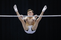 Thumbnail - Manchester - Joseph Feery - Ginnastica Artistica - 2019 - Austrian Future Cup - Participants - Great Britain 02036_01041.jpg