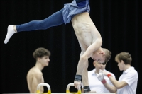 Thumbnail - Russia - Artistic Gymnastics - 2019 - Austrian Future Cup - Participants 02036_01270.jpg
