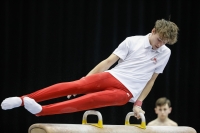 Thumbnail - Netherlands - Спортивная гимнастика - 2019 - Austrian Future Cup - Participants 02036_01302.jpg