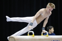 Thumbnail - Russia - Artistic Gymnastics - 2019 - Austrian Future Cup - Participants 02036_01314.jpg