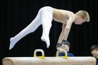 Thumbnail - Timofei Prostakov - Gymnastique Artistique - 2019 - Austrian Future Cup - Participants - Russia 02036_01315.jpg