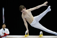 Thumbnail - Manchester - Joseph Feery - Ginnastica Artistica - 2019 - Austrian Future Cup - Participants - Great Britain 02036_01328.jpg