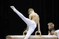 Thumbnail - Savelii Sorochenko - Artistic Gymnastics - 2019 - Austrian Future Cup - Participants - Russia 02036_01357.jpg