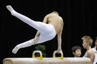 Thumbnail - Savelii Sorochenko - Artistic Gymnastics - 2019 - Austrian Future Cup - Participants - Russia 02036_01372.jpg