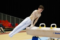 Thumbnail - Manchester - Joseph Feery - Ginnastica Artistica - 2019 - Austrian Future Cup - Participants - Great Britain 02036_01384.jpg