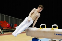 Thumbnail - Manchester - Joseph Feery - Ginnastica Artistica - 2019 - Austrian Future Cup - Participants - Great Britain 02036_01385.jpg