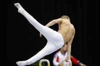 Thumbnail - Russia - Artistic Gymnastics - 2019 - Austrian Future Cup - Participants 02036_01420.jpg