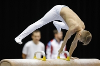 Thumbnail - Savelii Sorochenko - Artistic Gymnastics - 2019 - Austrian Future Cup - Participants - Russia 02036_01422.jpg