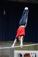 Thumbnail - Ilia Zotov - Gymnastique Artistique - 2019 - Austrian Future Cup - Participants - Russia 02036_01469.jpg