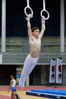 Thumbnail - Manchester - Joseph Feery - Ginnastica Artistica - 2019 - Austrian Future Cup - Participants - Great Britain 02036_01485.jpg