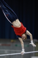 Thumbnail - Ilia Zotov - Gymnastique Artistique - 2019 - Austrian Future Cup - Participants - Russia 02036_01495.jpg