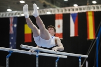 Thumbnail - Leeds - Harry Hepworth - Artistic Gymnastics - 2019 - Austrian Future Cup - Participants - Great Britain 02036_01803.jpg
