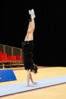 Thumbnail - Italy - Artistic Gymnastics - 2019 - Austrian Future Cup - Participants 02036_01990.jpg