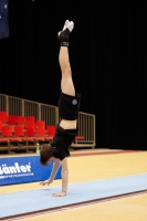 Thumbnail - Italy - Artistic Gymnastics - 2019 - Austrian Future Cup - Participants 02036_01994.jpg