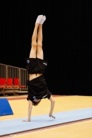 Thumbnail - Italy - Artistic Gymnastics - 2019 - Austrian Future Cup - Participants 02036_02007.jpg